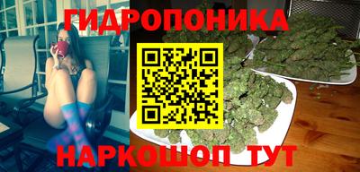шишки Чебоксары