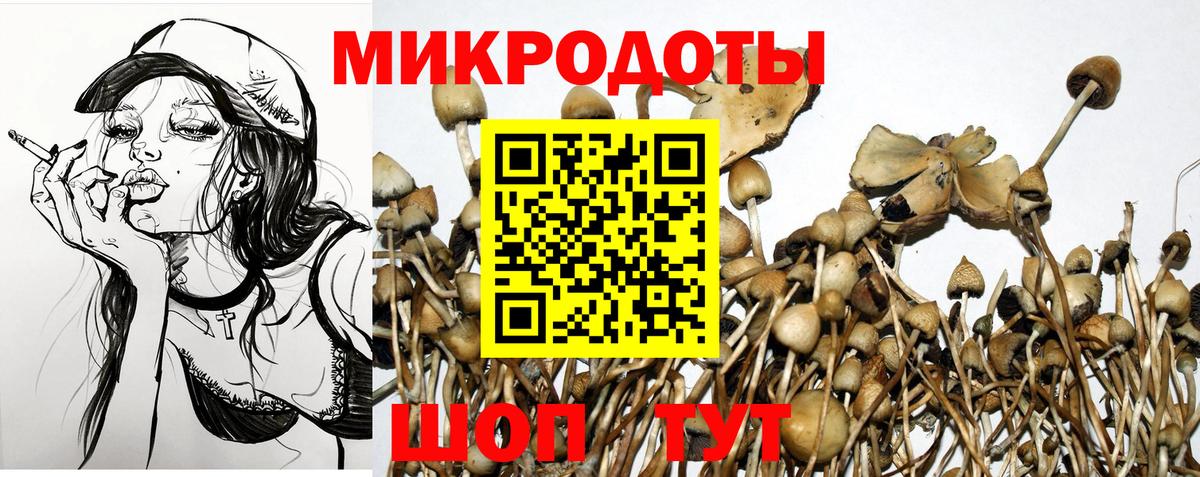 Галлюциногенные грибы мицелий Лабытнанги